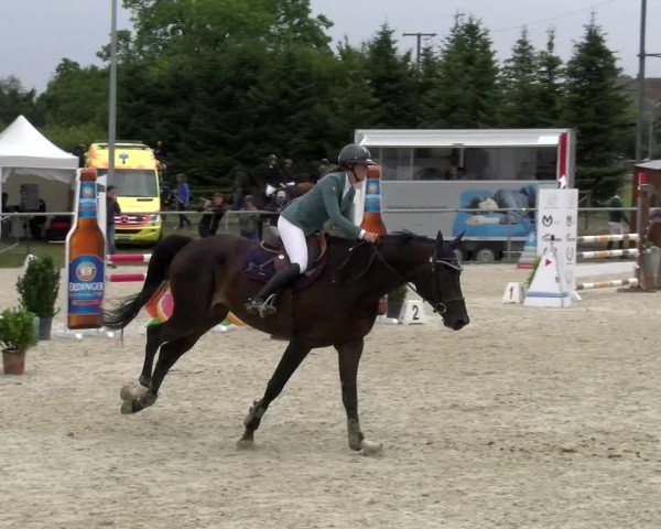 Reitturnier Dompierre 2022