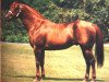 stallion Docs Benito Bar (Quarter Horse, 1963, from Doc Bar)