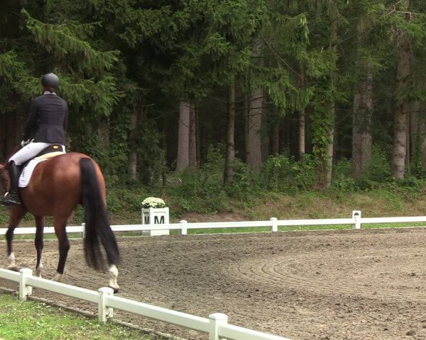 Reitturnier Kellinghusen 2022