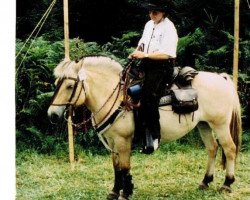 Pferd Lena (Fjordpferd, 1977, von Harry F 107)