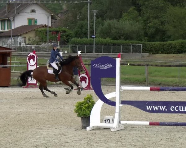 Reitturnier Dompierre 2022