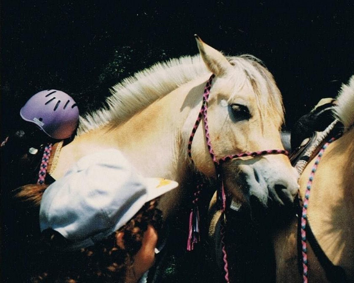 broodmare Larissa (Fjord Horse, 1986, from Olger F 114)