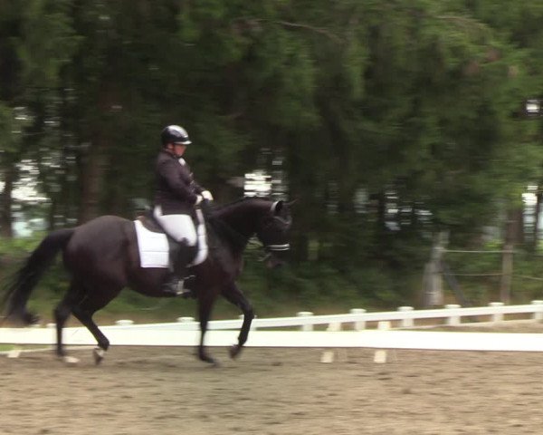 Reitturnier Kellinghusen 2022