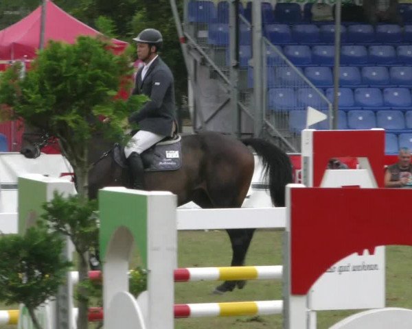 Reitturnier Aschersleben 2022