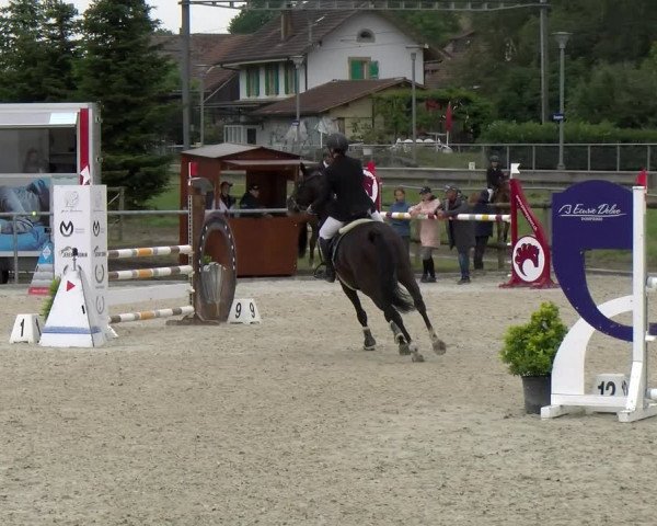 Reitturnier Dompierre 2022