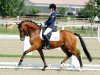 dressage horse Charlie Rivel (German Riding Pony, 2006, from Charm of Nibelungen)