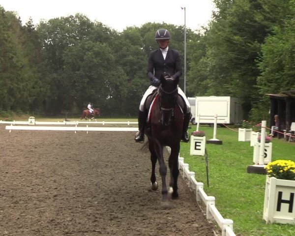Reitturnier Kellinghusen 2022