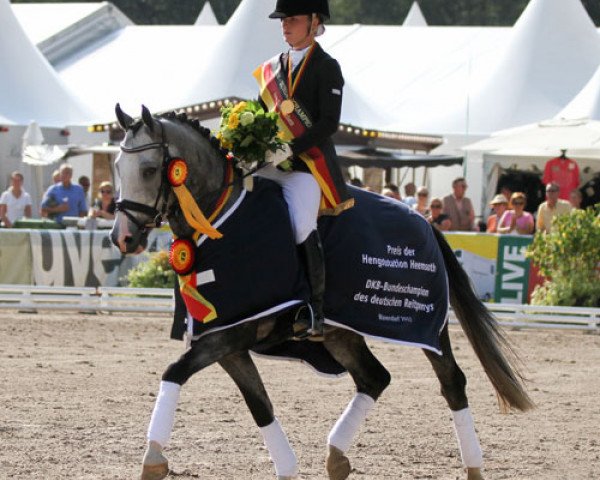 dressage horse Dancing Dynamic (German Riding Pony, 2007, from Dior)