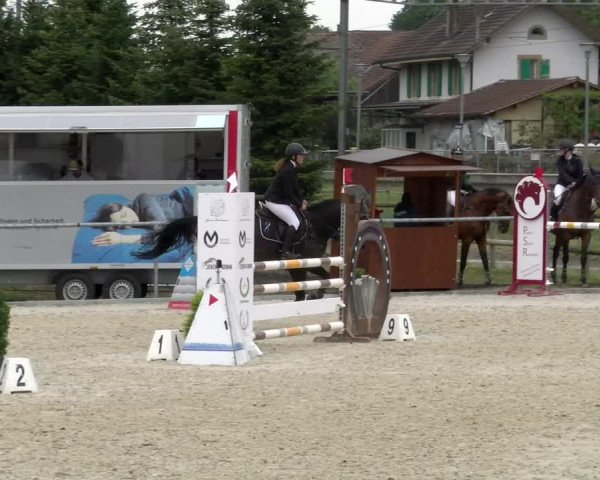 Reitturnier Dompierre 2022