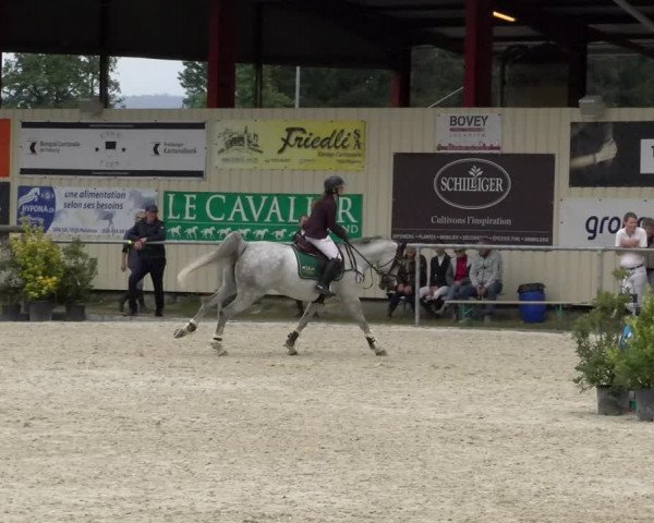 Reitturnier Dompierre 2022