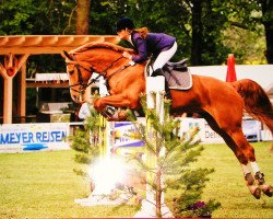 dressage horse Pamela (Saxony-Anhaltiner, 2000, from Paparazzo)