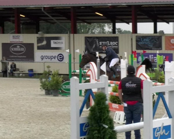 Reitturnier Dompierre 2022