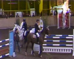 horse Snow Diamond 2 (Irish Sport Horse, 1997, from Spring Diamond)