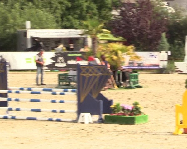 Reitturnier Schnarup-Thumby 2022