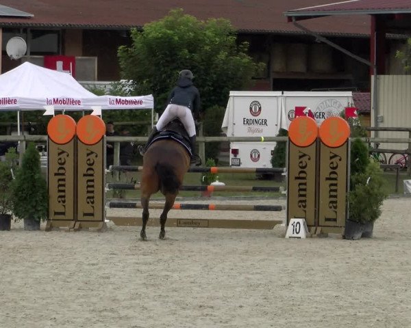 Reitturnier Dompierre 2022