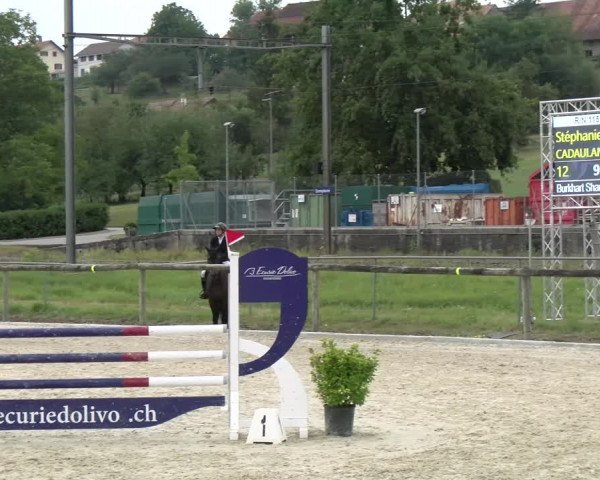 Reitturnier Dompierre 2022