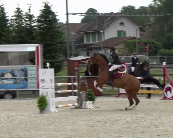 Reitturnier Dompierre 2022