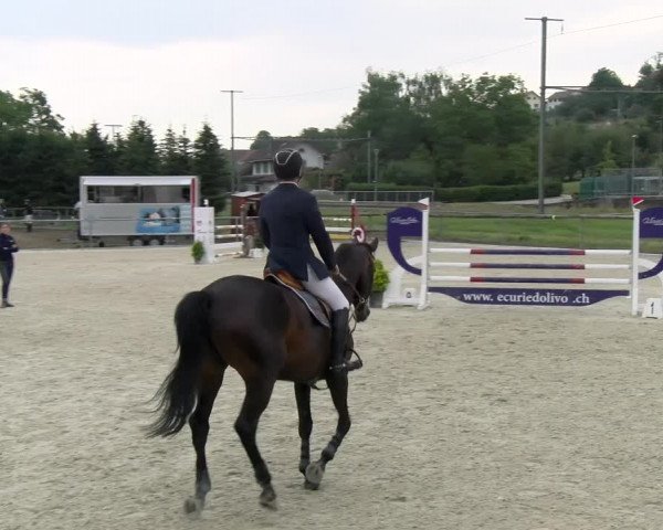 Reitturnier Dompierre 2022