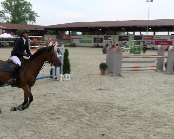 Reitturnier Dompierre 2022