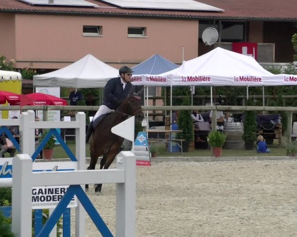Reitturnier Dompierre 2022