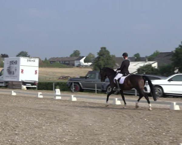 Heinsberg Classics 2022