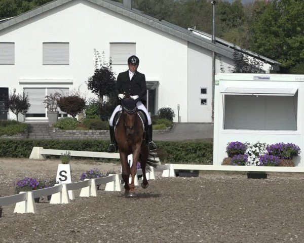 Heinsberg Classics 2022