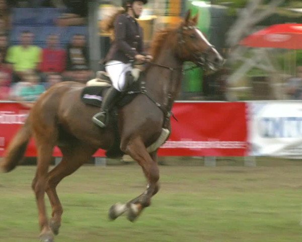 Reitturnier Aschersleben 2022