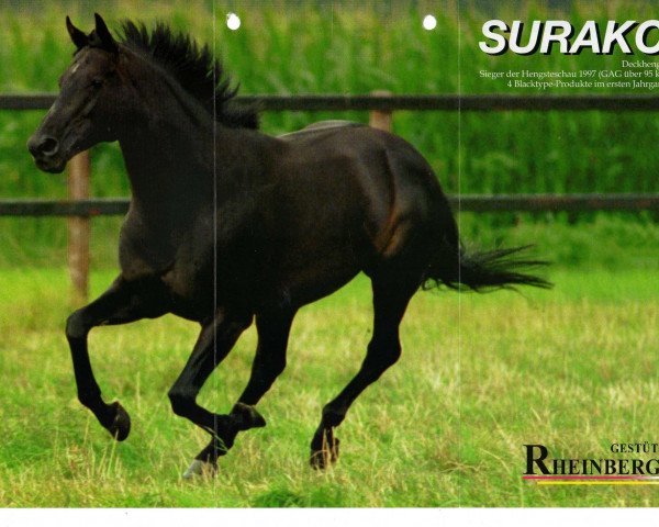 stallion Surako xx (Thoroughbred, 1993, from Königsstuhl xx)