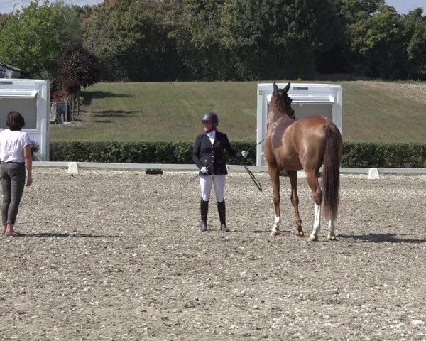 Heinsberg Classics 2022