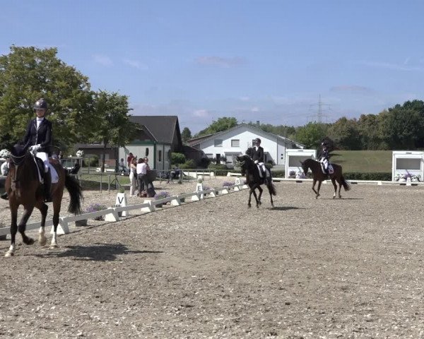 Heinsberg Classics 2022