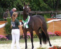 broodmare Fayette (Rhinelander, 2008, from Flatley 2)