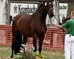 broodmare Carmelita 18 (Rhinelander, 2003, from Carnando)