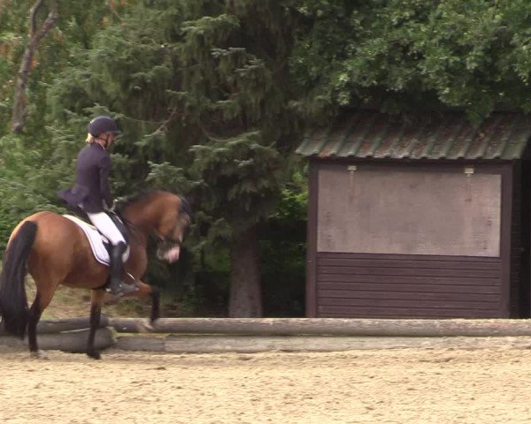 Reitturnier Datteln 2022