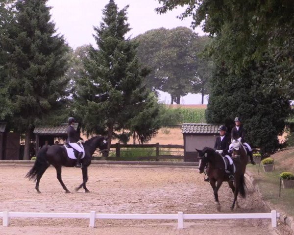 Reitturnier Datteln 2022