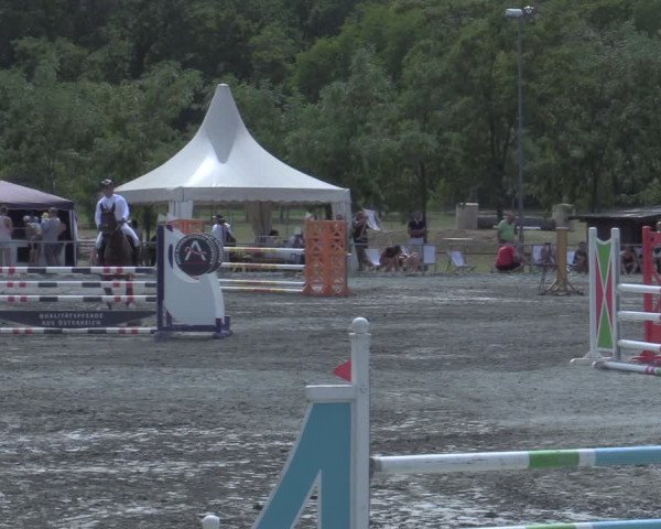 Reitturnier Horitschon 2022