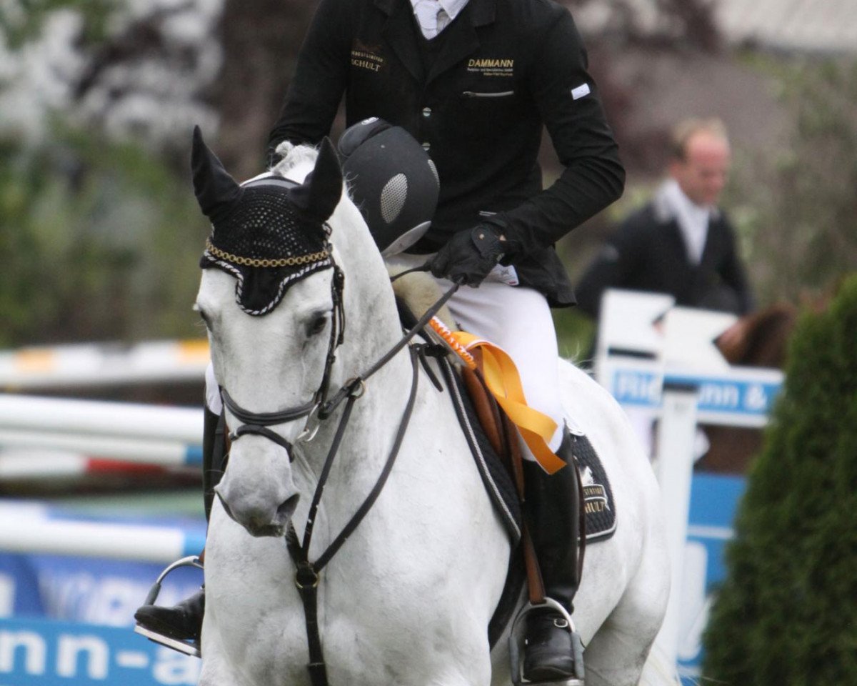 broodmare Chiclana (Rhinelander, 2001, from Calido I)