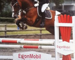 jumper Baldini S (Oldenburg show jumper, 2003, from Balou du Rouet)