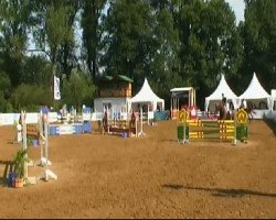 jumper Avantage 13 (Hanoverian, 1999, from Acord II)