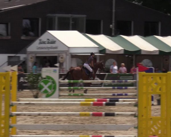 Reitturnier Datteln 2022