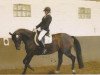 dressage horse Armagedon (Westphalian, 2002, from Abanos)