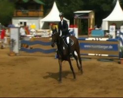 jumper Pilotta 6 (Austrian Warmblood, 2001, from Goethe)