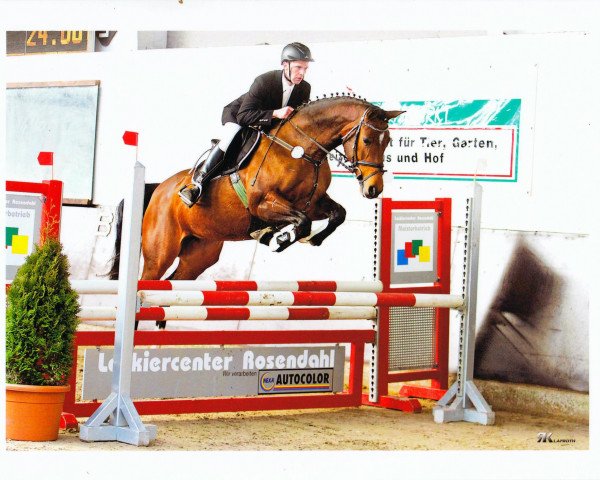 broodmare Unforgettable 3 (Oldenburg show jumper, 2007, from Up to date)