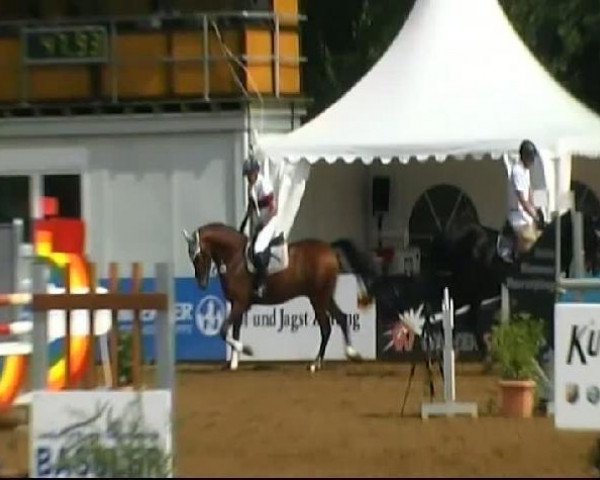jumper Cornelius 31 (Württemberger, 2005, from Candillo Z)