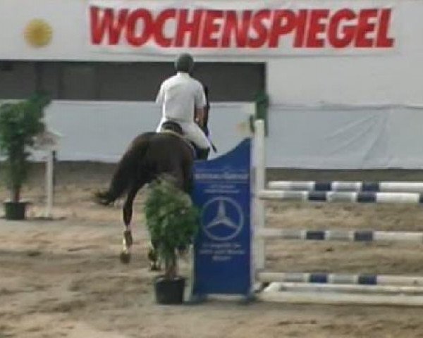 jumper Archimedes (Zweibrücken, 1995, from Acalwahn)