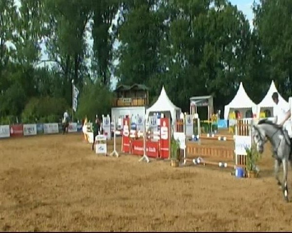 broodmare Cayenne (Holsteiner, 2003, from Corrado I)