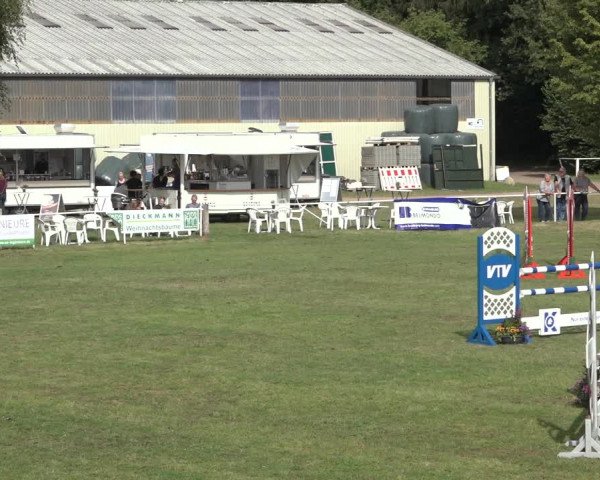 Reitturnier Kellinghusen 2022