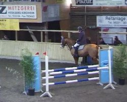 dressage horse Funaro (Württemberger, 1999, from Fundament)