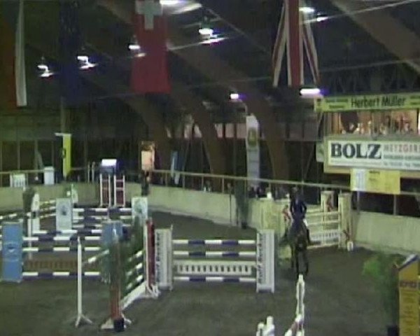 jumper Corneman (Holsteiner, 2003, from Con Air)