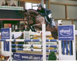 jumper Smilla 24 (Hanoverian, 2002, from Stakkato)