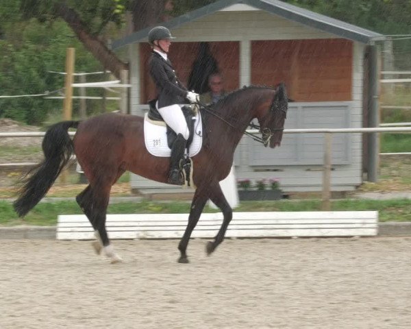 Reitturnier Köngen 2022